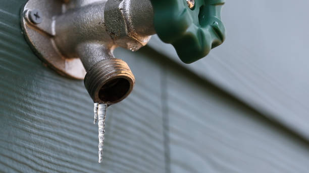 Best Sprinkler Systems  in Deforest, WI